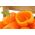 Sweet orange "Etude" piper - 10 g -  Capsicum annuum - semințe