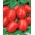 Cüce tarla domatesi 'Awizo' - erken, çok üretken, patates yanıklığına dayanıklı -  Lycopersicon esculentum - Awizo - tohumlar
