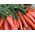 Zanahoria "Cubic" - variedad tardía, fácil de sembrar - 