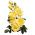 Rosa de flores grandes - amarillo - plántulas en maceta - 