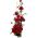 Kiipeilyruusu - punainen ruukkukasvi - 