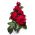 Grootbloemige roos - karmozijnrood - zaailing in pot - 