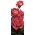 큰 꽃 장미-크림 화이트 핑크-화분 모종 - 