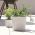 Pot tanaman bulat "Boardee Basic" - 14,4 cm - putih - 