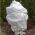 Bílá zimní fleece (agrotextilie) - chrání rostliny před mrazem - 3,20 x 5,00 m - 