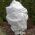 Fleece albă de iarnă (agrotextil) - protejează plantele de îngheț - 1,60 x 10,00 m - 