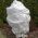 Λευκό χειμερινό fleece (agrotextile) - προστατεύει τα φυτά από τον παγετό - 1,60 x 50,00 m - 
