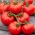 Tomato "Luban" - field, vividly red variety 