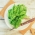 Bucătărie Mondială - busuioc cu frunze de salată - 