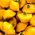 เมล็ดสควอชสีเหลืองแพตตี้แพน - Cucurbita pepo - 28 เมล็ด - Cucurbita pepo var. pattisonina ‘Orange'