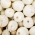 بصل "Finezja" - أبيض ، تذوق رفيع ، تشكيلة قابلة للتخزين - 1250 حبة - Allium cepa L. - ابذرة