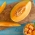 Cantaloupe "Melba"  - オレンジ色、濃厚、芳香性の肉 -  90粒 - Cucumis melo L. - シーズ