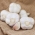 Bawang putih musim dingin "Ornak" - 3 główki (0,18 - 0,30 kg) - 