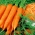 Cenouras Broker -  Daucus carota - Broker - sementes