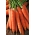 Korenček "Korund" - srednje pozna sorta z visoko vsebnostjo sladkorja -  Daucus carota - Korund - semena