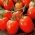 Tomat – Granite -  Lycopersicon esculentum - Granit - frön