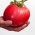 Tomato Raspberry Giant seeds - Lycopersicon lycopersicum
