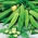 Насіння бамії - Hibiscus esculentus - 30 насіння - Abelmoschus esculentus