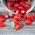 家庭花园 - 野草莓“阿提拉”，尾随品种 - 室内和阳台种植 -  330粒种子 - Fragaria vesca L. - 種子