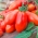 Tomat - Big Mama F1 - drivhus - Lycopersicon esculentum Mill  - frø
