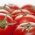 Paradajka "Elf" - na pestovanie pod krytom - prémiové odrody osiva pre každého - 10 semien - Solanum lycopersicum  - semená