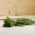 BIO - Chives - 유기농 종자 인증 - 850 종자 - Allium schoenoprasum L. - 씨앗