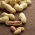 Peanut seeds - Arachis hypogea - 5 seeds