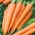 Carrot "Flyaway F1" - medium early variety - 450 seeds