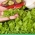 Microgreens - Grüner Salat - junge, leckere Blätter
