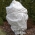 Fleece albă de iarnă (agrotextil) - protejează plantele de îngheț - 0,80 x 10,00 m - 