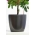 Pot tanaman "Coubi Duo" ø 15 cm - kelabu grafit - 