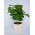 Pot tanaman "Coubi Duo" ø 15 cm - putih berkrim - 