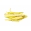 Kacang Prancis Kuning "Titania" - varietas awal - 90 biji - Phaseolus vulgaris L.