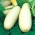 Calabacín - Long White Bush 2 - 14 semillas - Cucurbita pepo