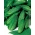 Огірок "Hela F1" - довгий, польовий сорт для консервів і солінь - 175 насіння - Cucumis sativus