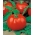 Tomat "Poranek" - posibilă scroafă posibilă - 400 de semințe - Lycopersicon esculentum Mill 