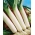 韭菜“大象” - 晚种 -  320粒种子 - Allium ampeloprasum L. - 種子
