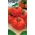 Tomato "Saint Pierre" - pelbagai raspberry kokoh - 200 biji - Lycopersicon esculentum Mill  - benih