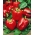 Biber "California Wonder" - kırmızı ve tatlı - 55 tohum - Capsicum L. - tohumlar