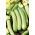 西葫芦“比安卡迪里雅斯特” - 种植迅速 - 种子16种 - Cucurbita pepo  - 種子