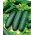 BIO  - 沙拉黄瓜 - 经过认证的有机种子 - Pisum sativum L. - 種子