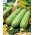 Hạt Zucchini Nimba - Cucurbita pepo - 12 hạt