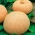 Semințe de dovleac gigant - Cucurbita maxima - 12 semințe