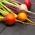 Rødbede - farvet - mix - 450 frø - Beta vulgaris
