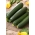 BIO - Zucchini - 유기농 인증 종자 - Cucurbita pepo  - 씨앗