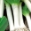 BIO - Puerro - Semillas ecológicas certificadas. - Allium porrum