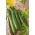 Zucchini "Astra Polka" - 100 g of seeds - 700 seeds