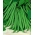 גמד ירוק שעועית צרפתית "דלינל" - Phaseolus vulgaris L. - זרעים