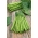 Fasole verde "Syrenka" - Phaseolus vulgaris L. - semințe