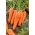गाजर "गैलिसिया" - मध्यम-प्रारंभिक किस्म - 2550 बीज - 